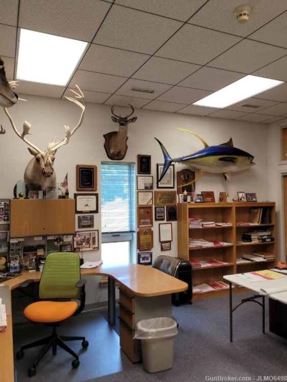 Animal Taxidermy Mount Collection 135 Total Mounts-img-28