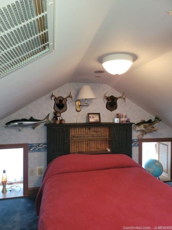 Animal Taxidermy Mount Collection 135 Total Mounts-img-18