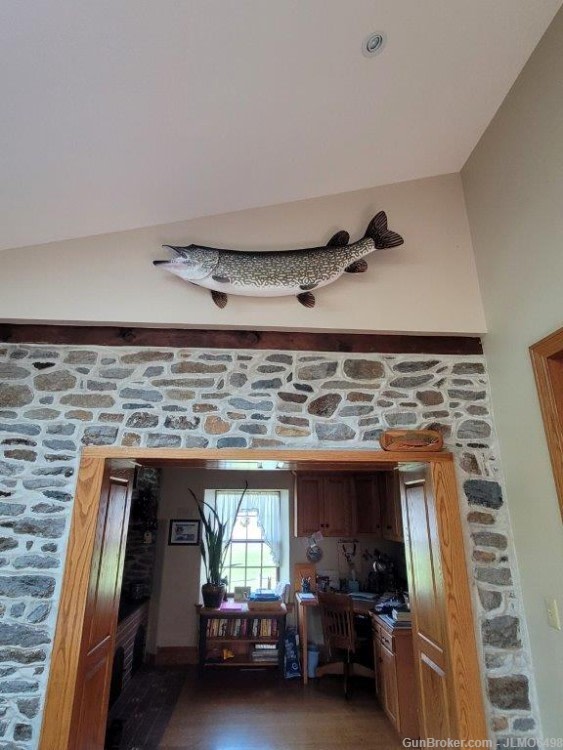 Animal Taxidermy Mount Collection 135 Total Mounts-img-6