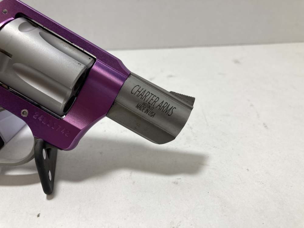 Charter Arms The Lavender Lady Hammerless-img-2