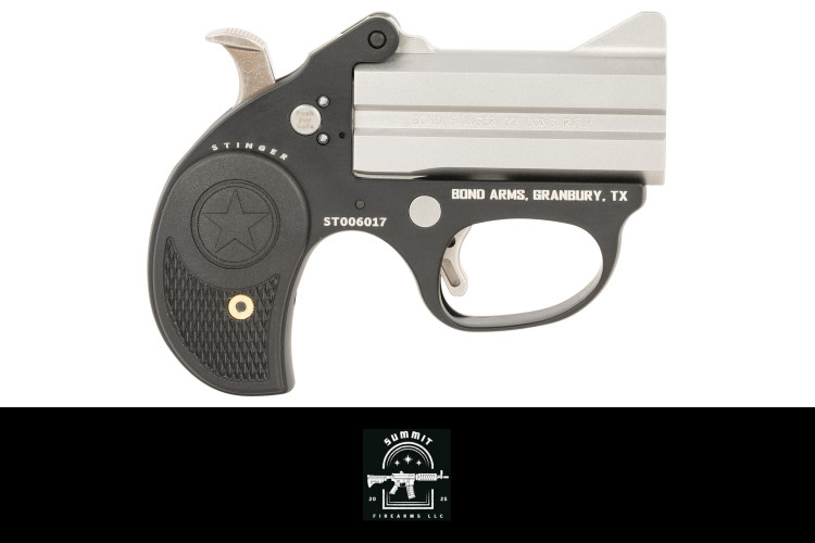 Bond Arms Stinger 22 LR Derringer - Compact Precision-img-0