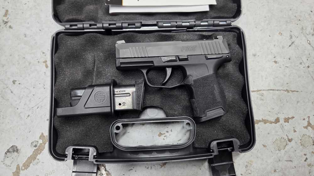 Sig Sauer P365 380 ACP Pistol Optic Ready (2 Mags)-img-0
