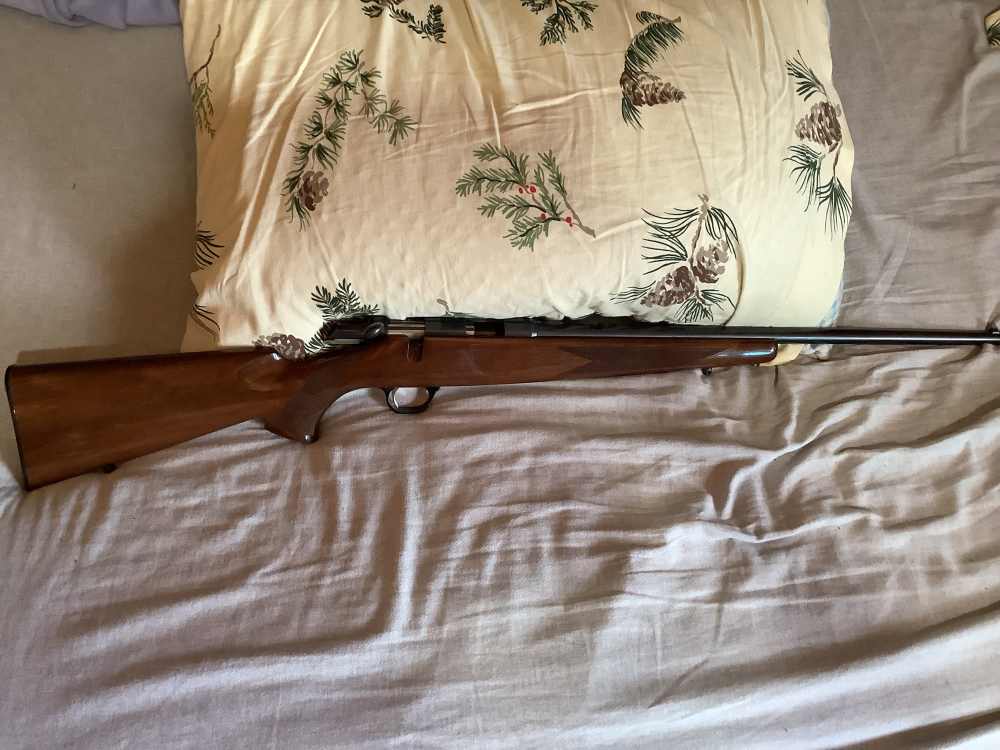 Browning A-Bolt in .22 LR-img-2