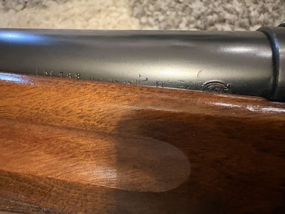 MINTY 1959 Belgium Browning A5 "MAGNUM" Factory 31-1/2” Barrel collector!!-img-11