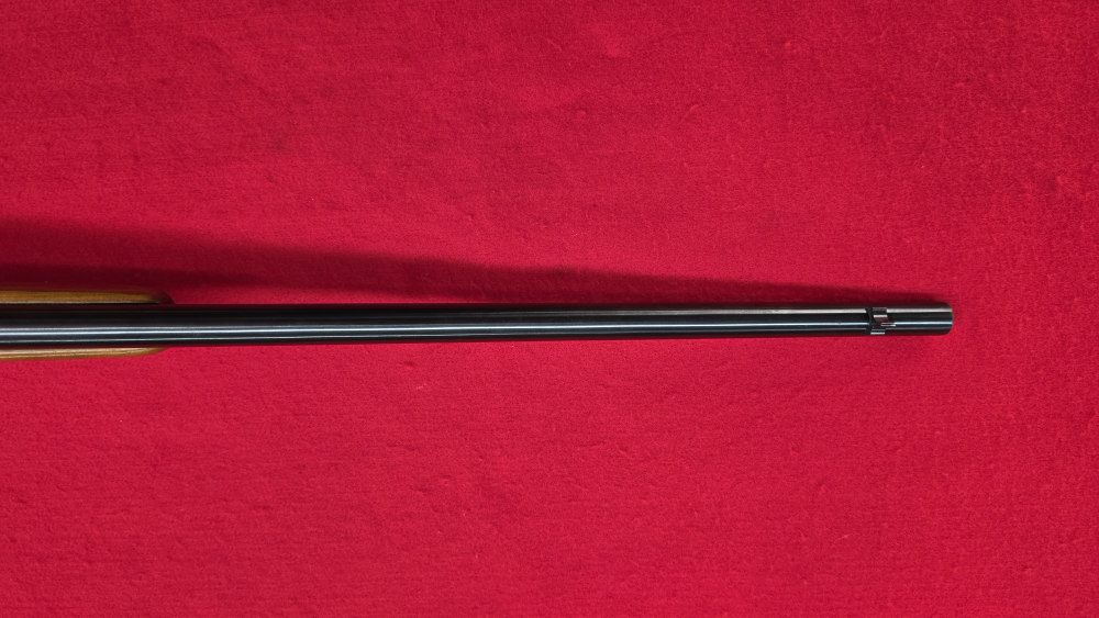 WESTERN FIELD - M815 - .22S/L/LR - 24" - CLEAN - USED!-img-15