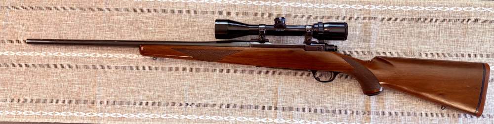 Ruger M77 - .30-06 SPRG - 1980 - Tang Safety - w/ Bushnell RED pad-img-6
