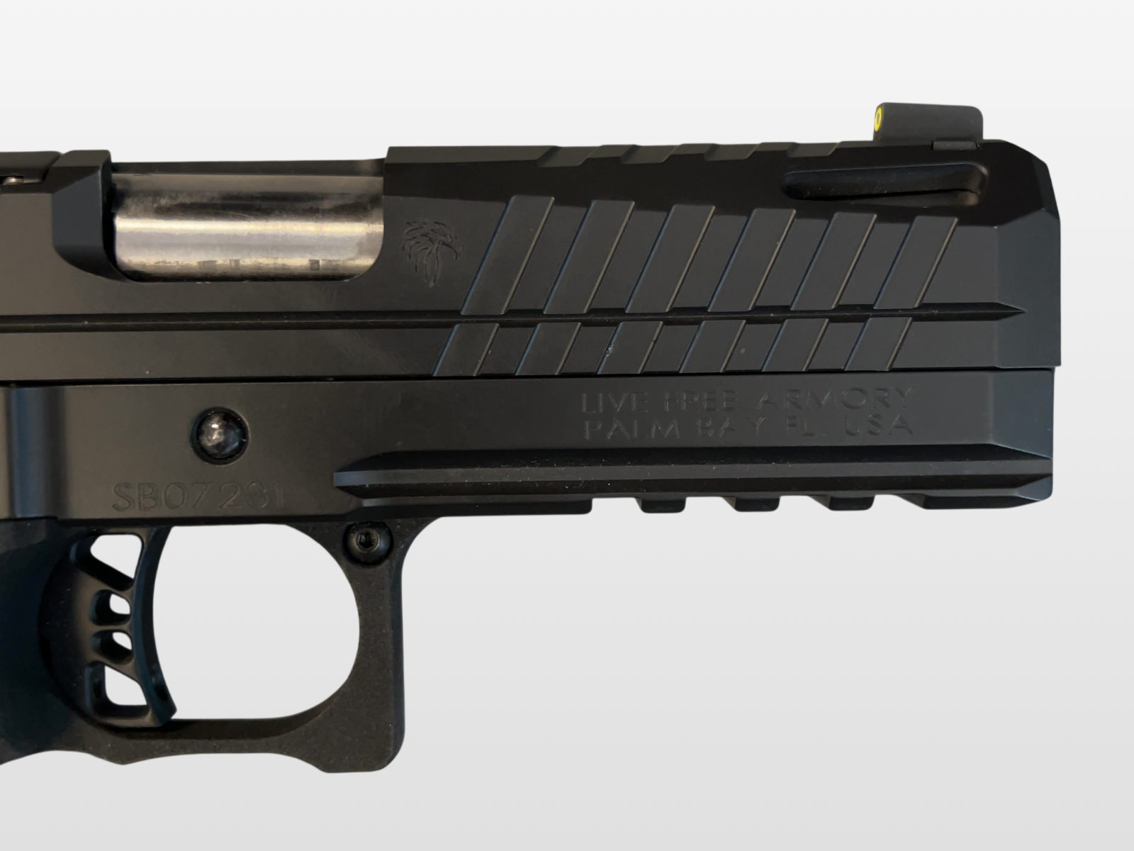 Live Free Armory Apollo 11 9mm Luger Compact-img-4