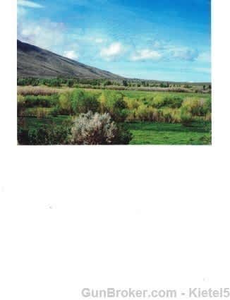 2  side by side Home Lots Humbolt River/Cresent Valley,Nevada  MAKE OFFER!-img-2