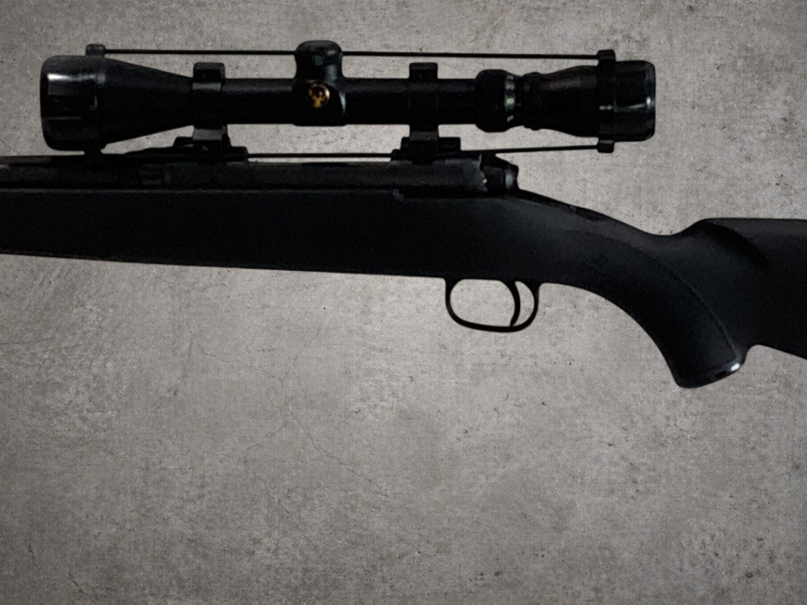 Savage Arms 10 243 Winchester Package-img-4
