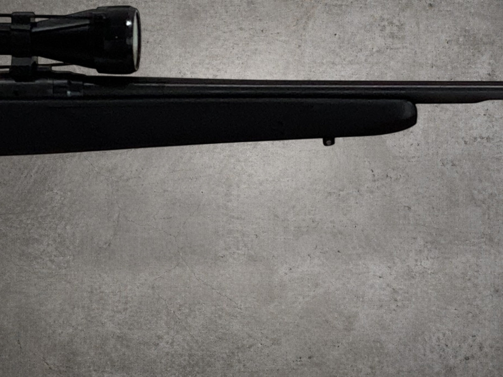 Savage Arms 10 243 Winchester Package-img-8