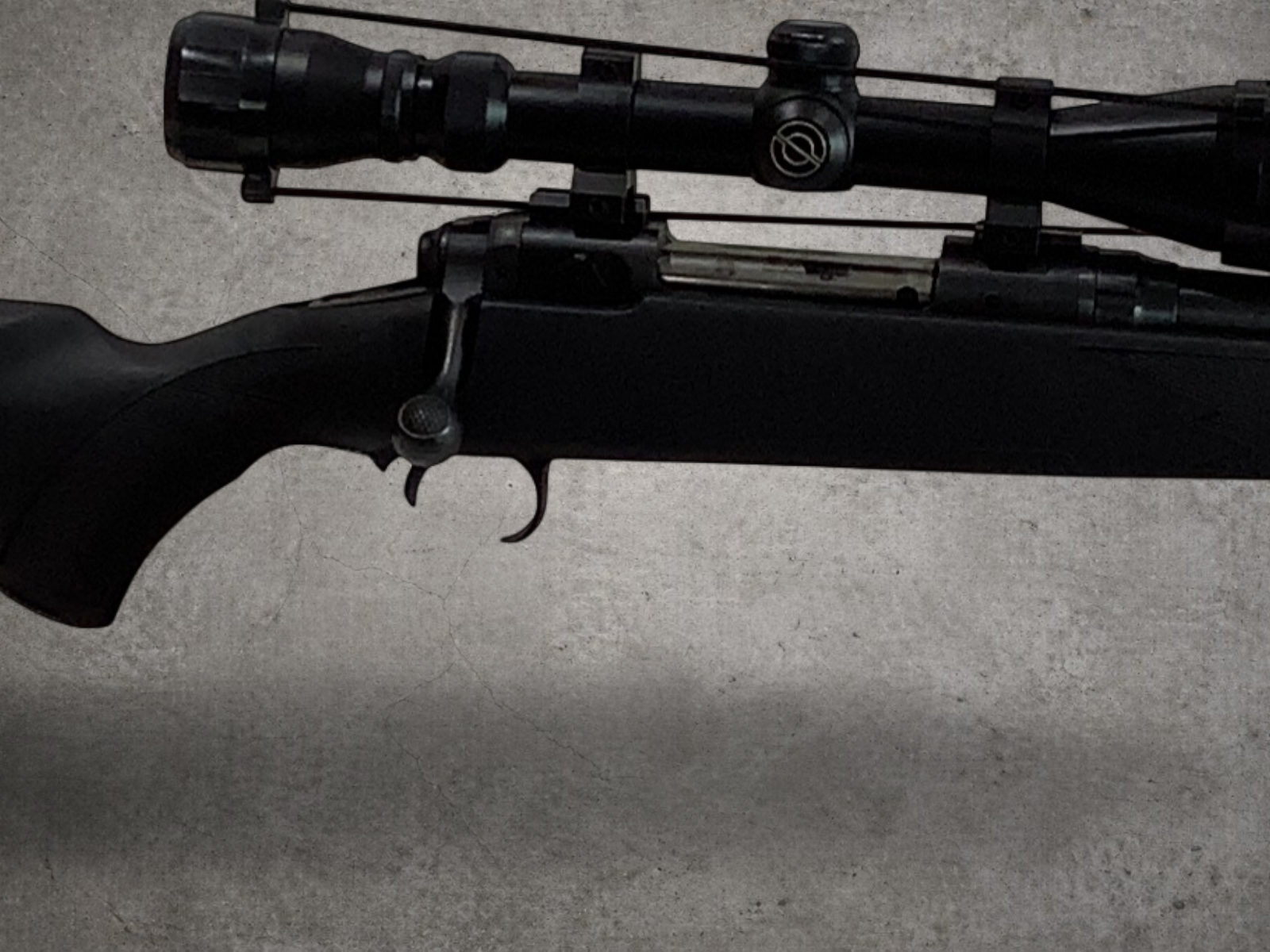 Savage Arms 10 243 Winchester Package-img-7