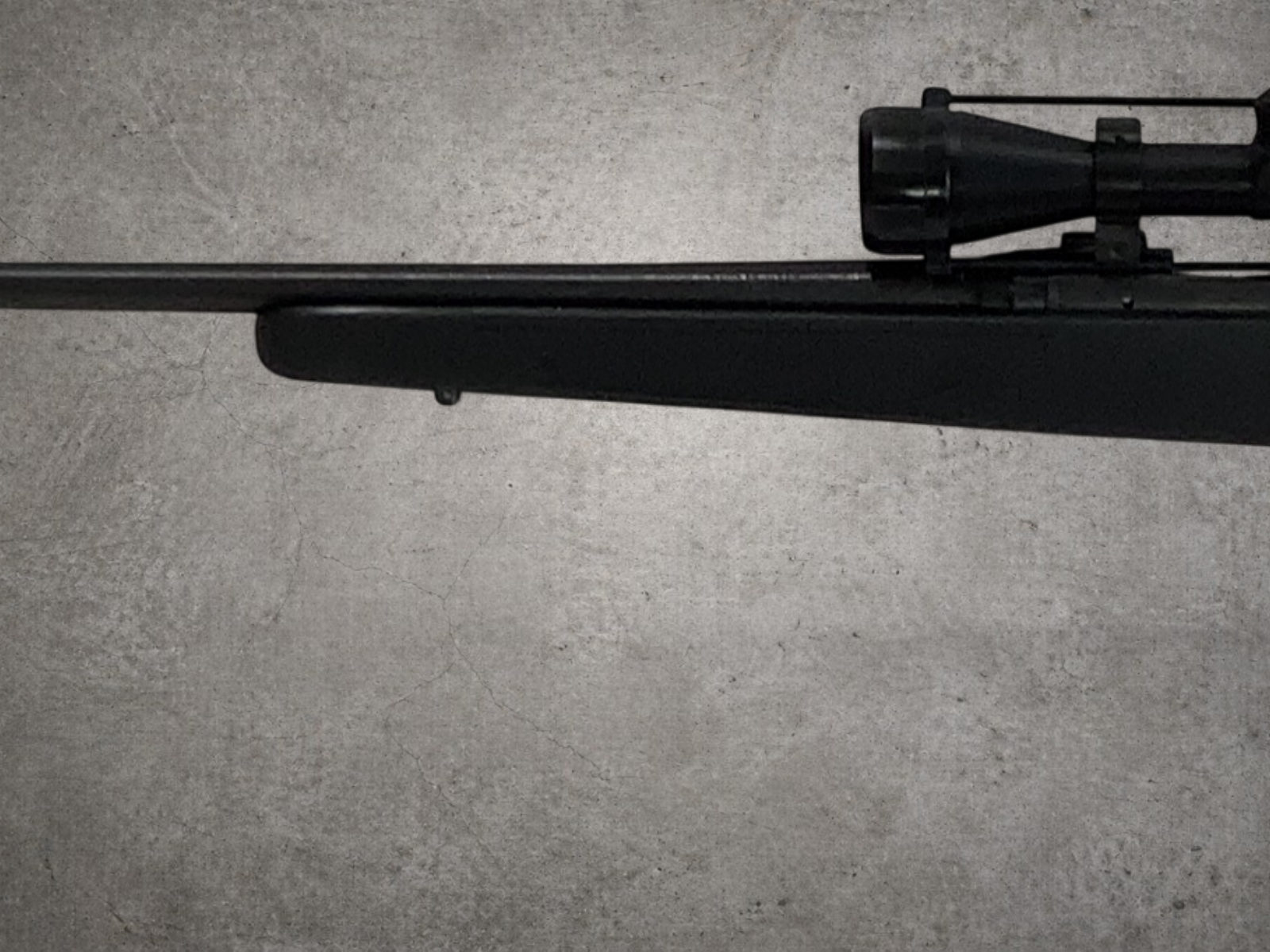 Savage Arms 10 243 Winchester Package-img-3