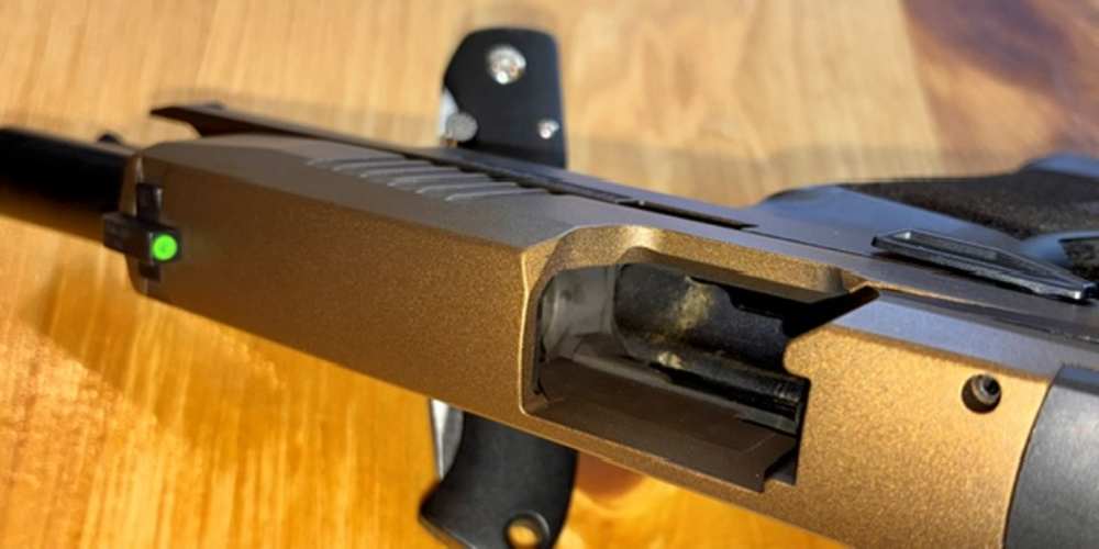 Sig Sauer P365 XL-img-3