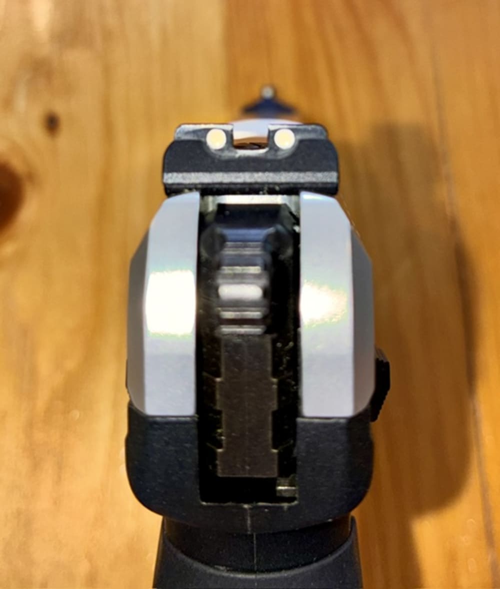 Ruger SR22 PS-img-6