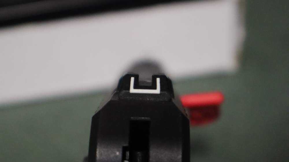 Ruger Security 9 with Viridian Laser-img-7