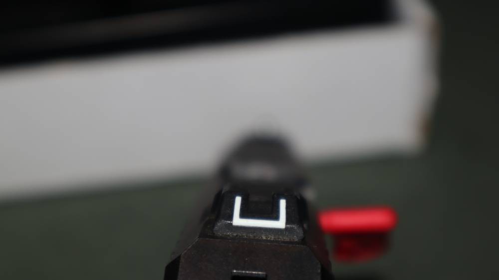 Ruger Security 9 with Viridian Laser-img-6