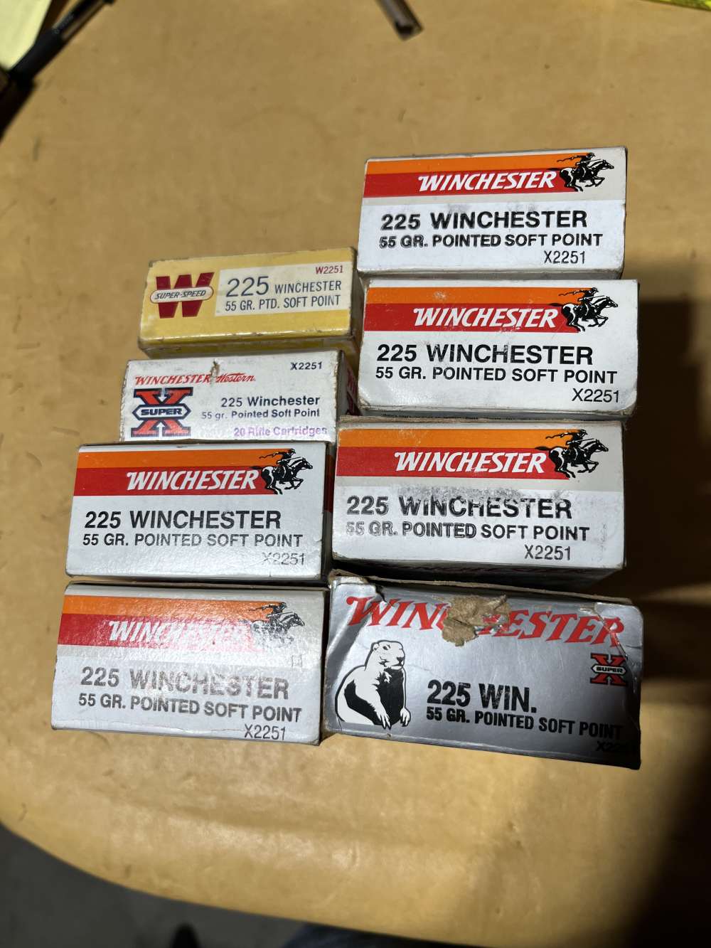 225 Winchester Brass-img-0