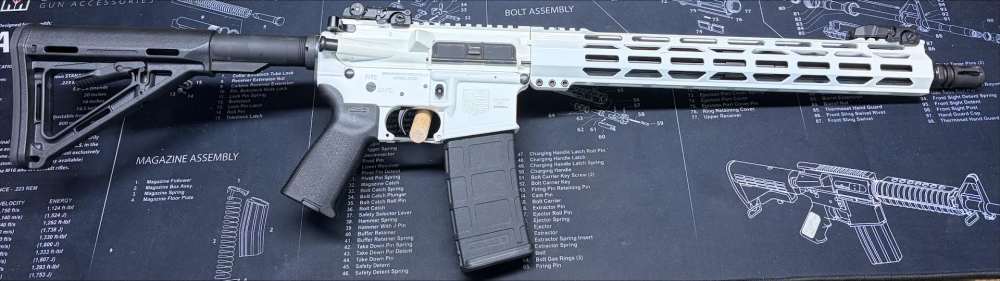 DIAMOND BACK DB15 WHITE-img-0