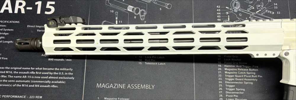 DIAMOND BACK DB15 WHITE-img-3