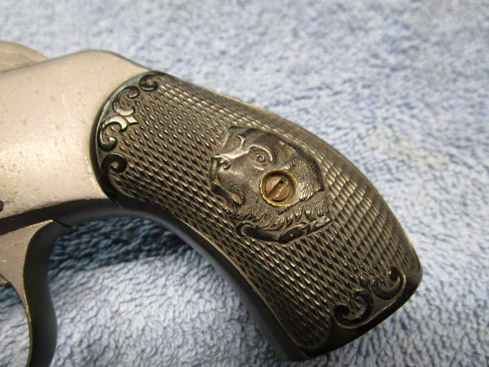American bulldog 38spl-img-1