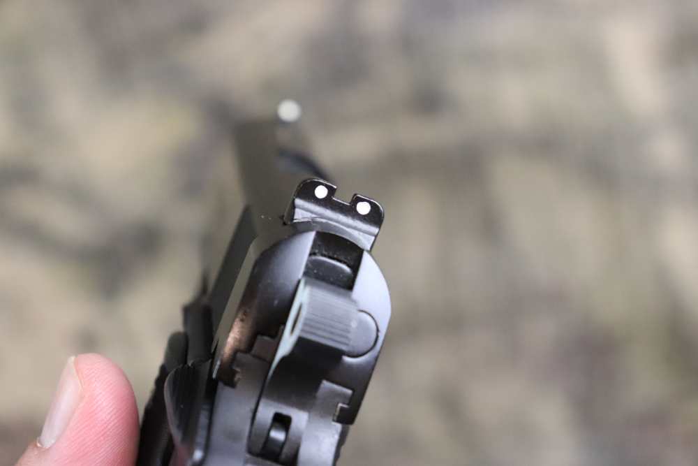 Para Ordnance P12 45 acp 3.5" double stack 10 round LNIB penny start-img-22