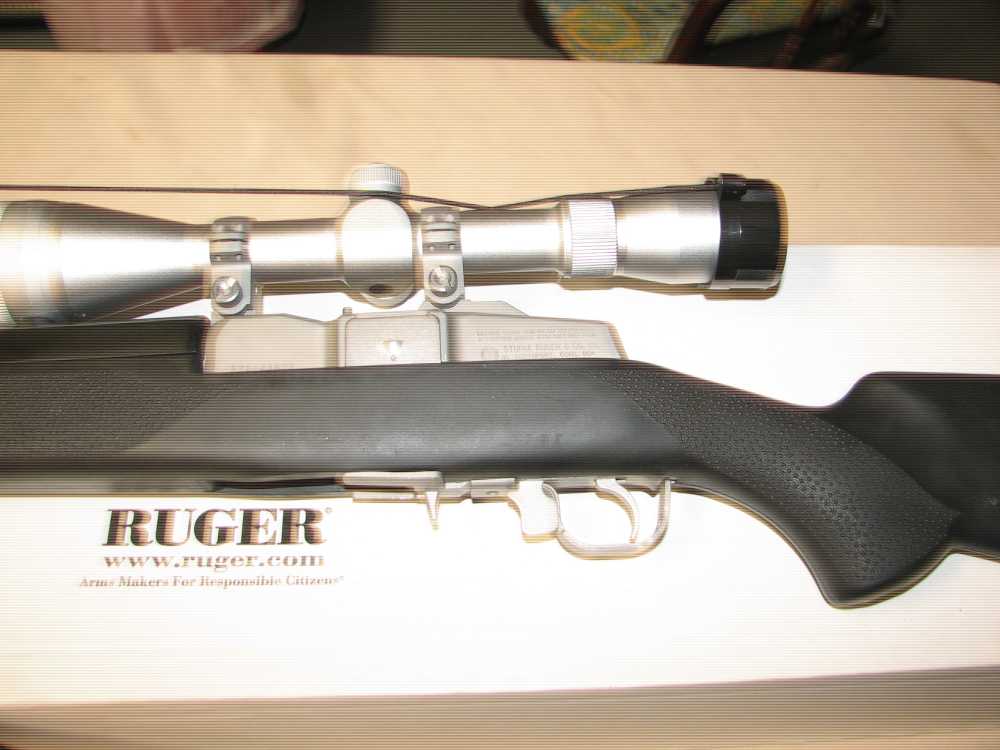 Ruger Mini 14 Target-img-4