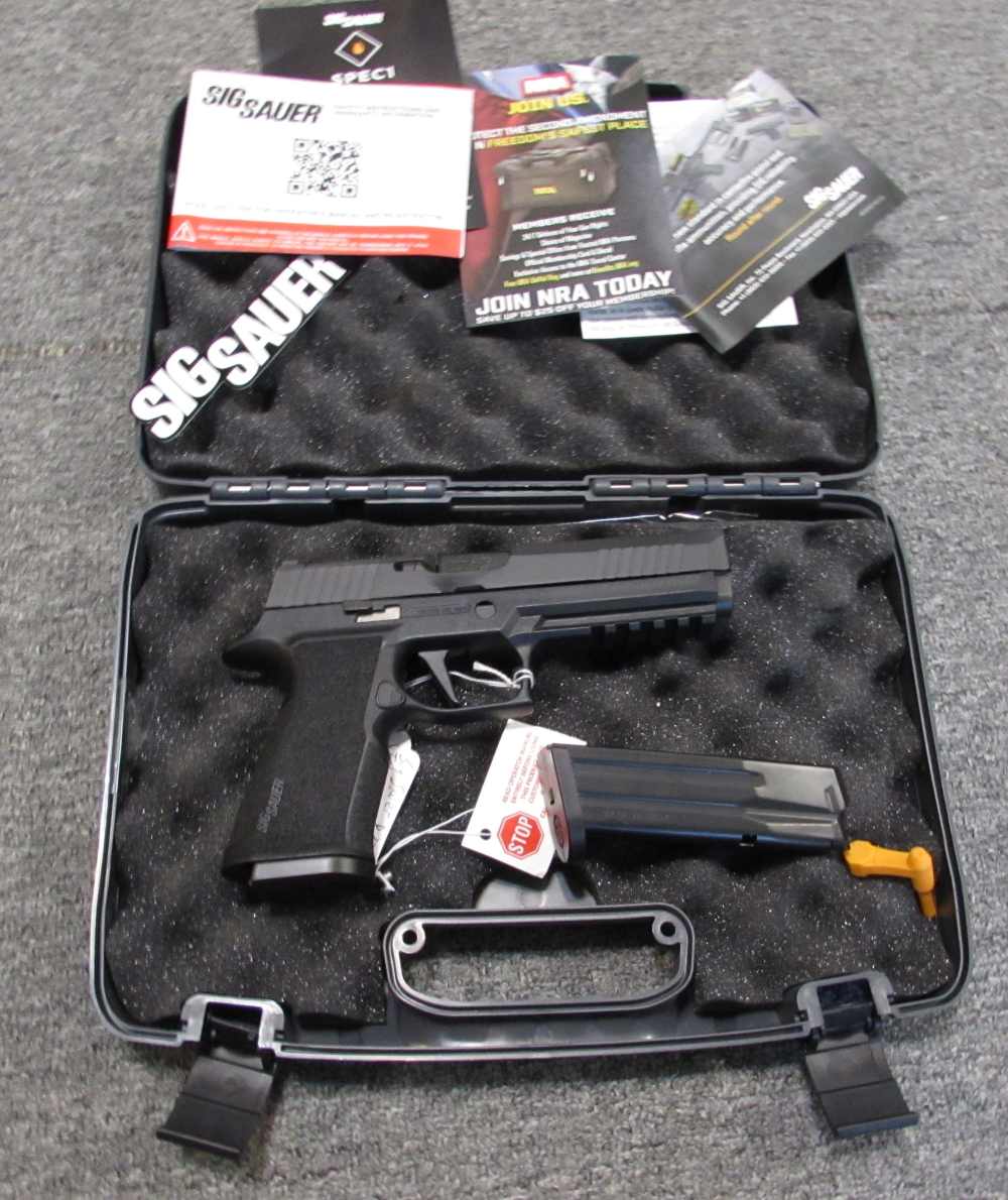 Sig Sauer P320 X-Ten  10 mm pistol-img-7