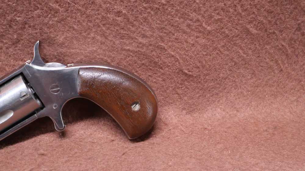 North American Arms Mini-Revolver 22 Mag 5 Shot SA Spur Trigger 1.675" BRL-img-7