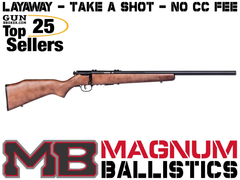 Savage 93R17 GV 17 HMR 062654967016-img-0