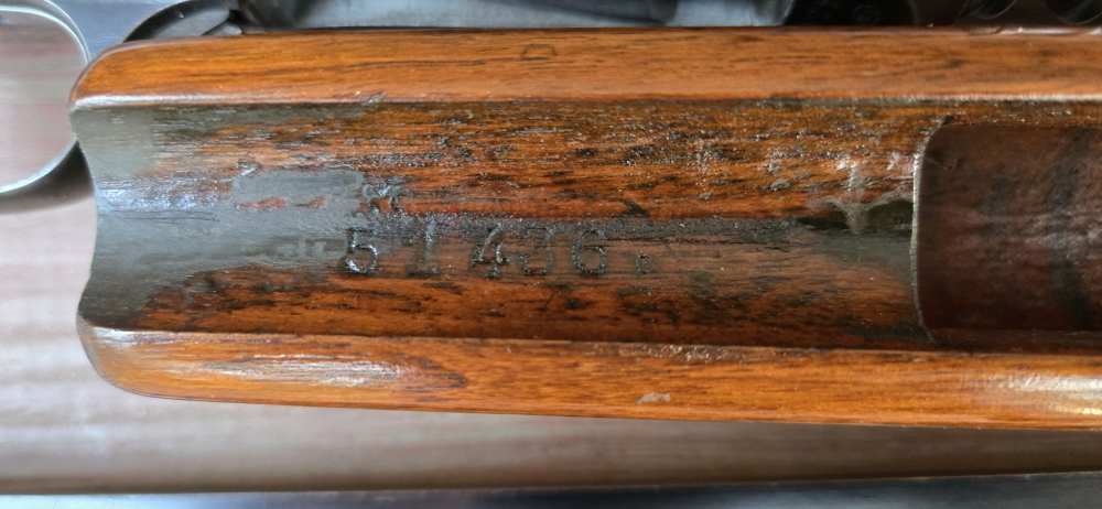Browning Auto-5, Standard 16G, 2-3/4", 27.5" Solid Rib, Belgium 1951-img-36