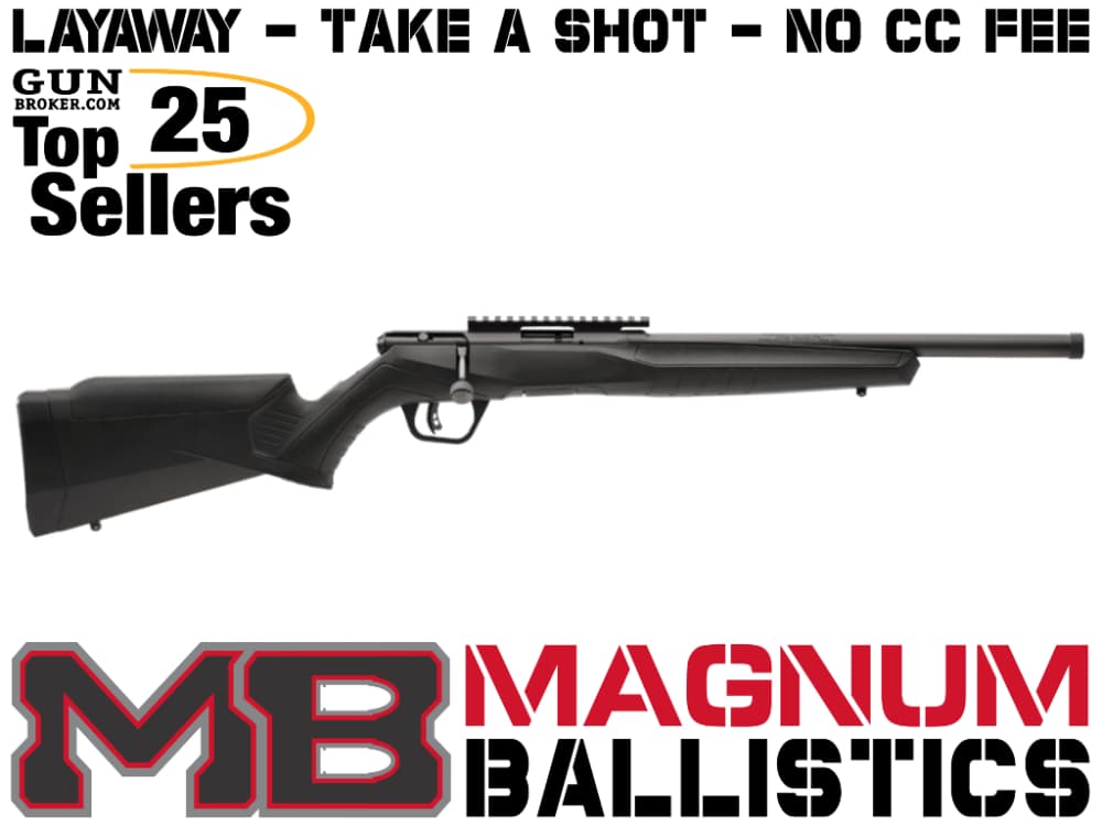 Savage B17 FV-SR 17 HMR 062654708039-img-0