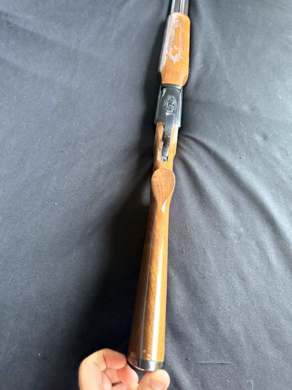 1966 - Savage/Fox Model B-SE Side-by-Side Shotgun 12 ga., 28" vent rib-img-31