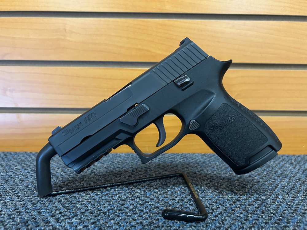 Sig Sauer P250 9x19mm 3.9" with One Magazine -img-0