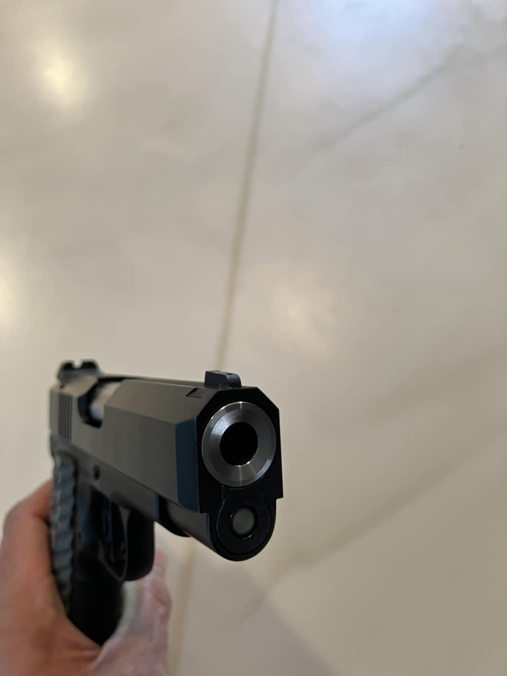 Dan Wesson ECP 9mm 4 Mags-img-3