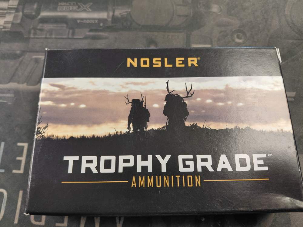 NOSLER 30-06 SPRINGFIELD 180 GRAIN PARTITION-img-0