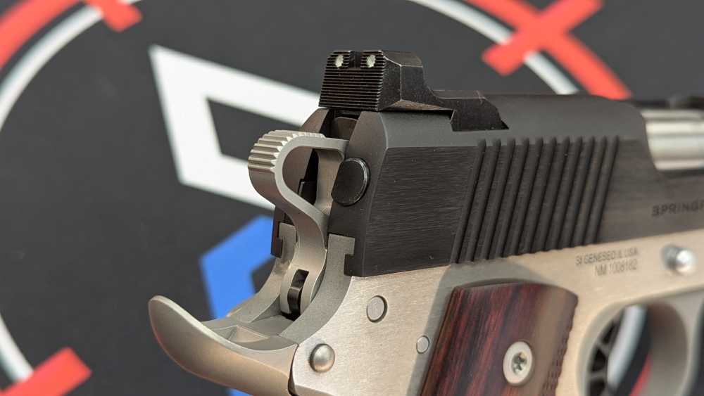 Springfield Armory 1911 Ronin – 10mm | Take-A-Shot!-img-12