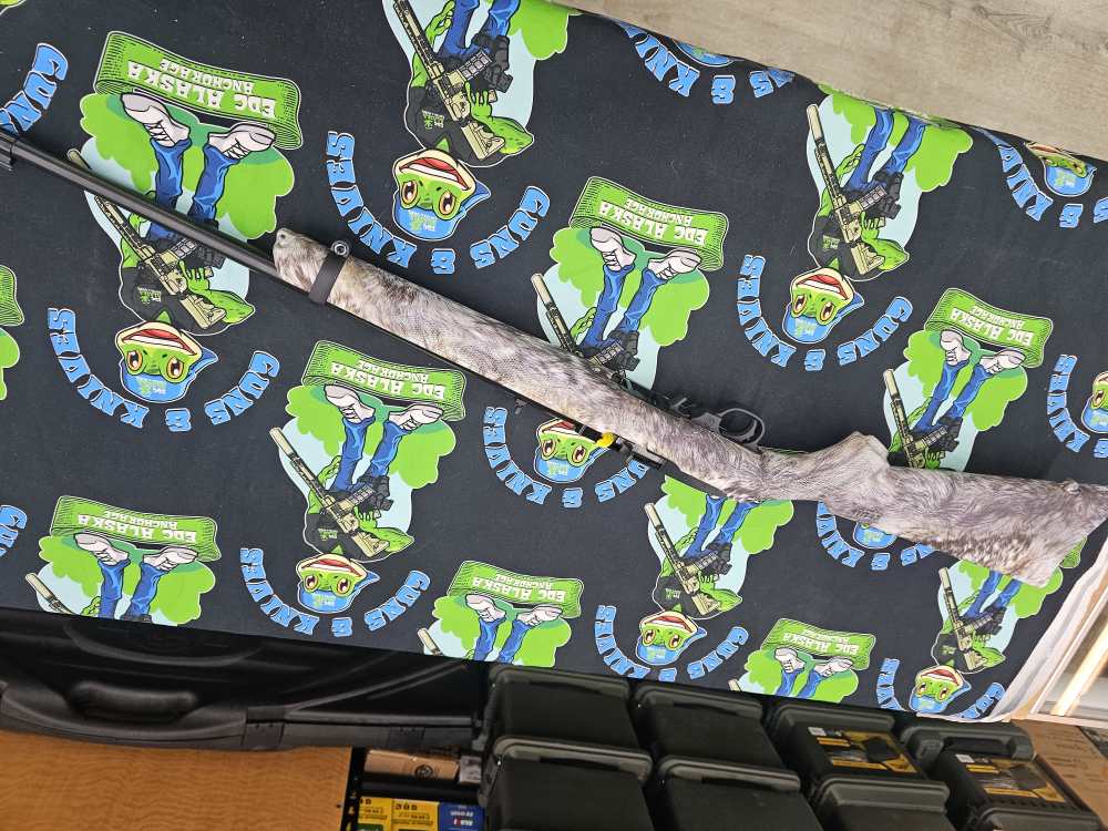 Ruger 10/22 31169 new 22lr no cc fees-img-6