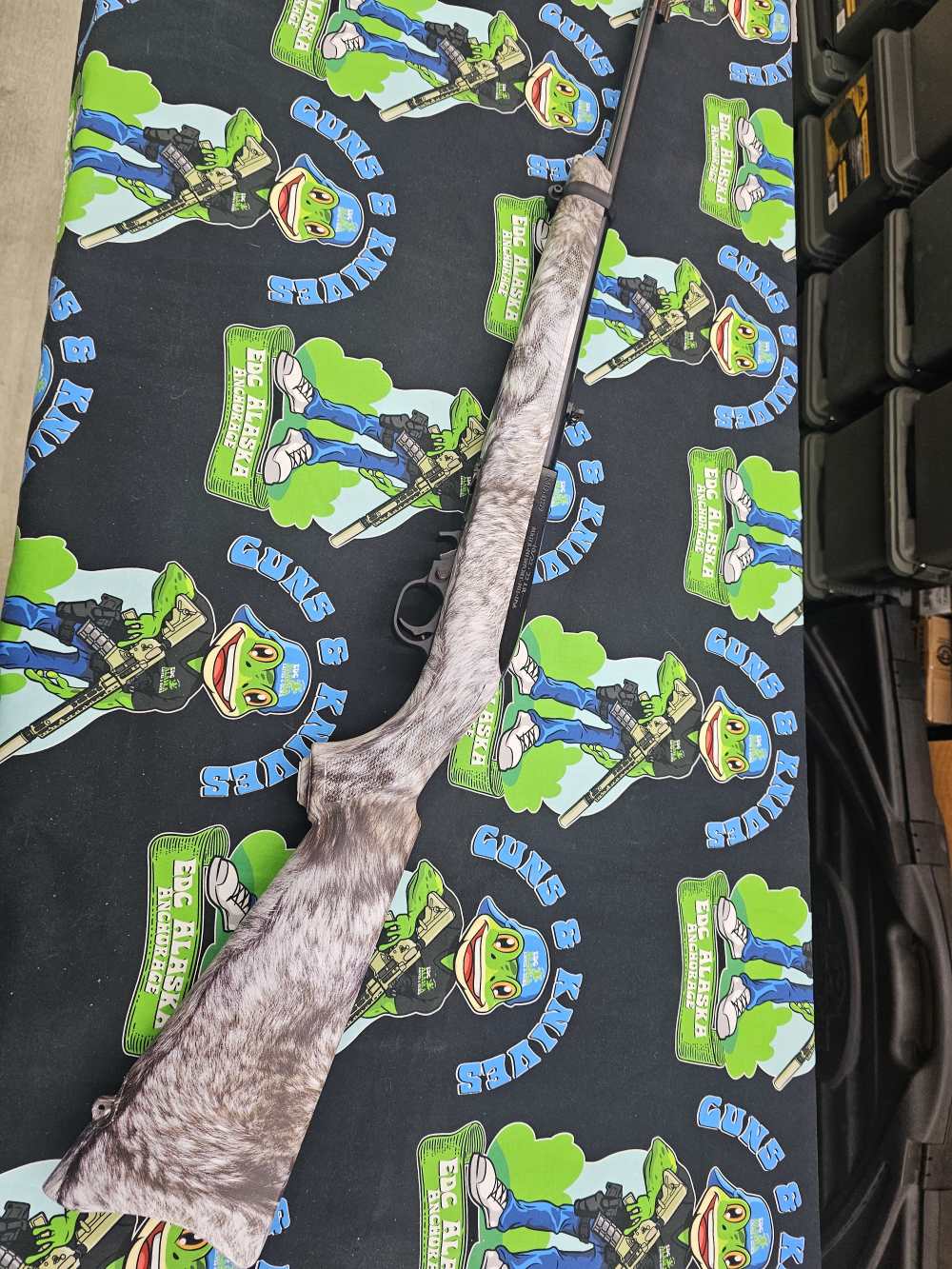 Ruger 10/22 31169 new 22lr no cc fees-img-0
