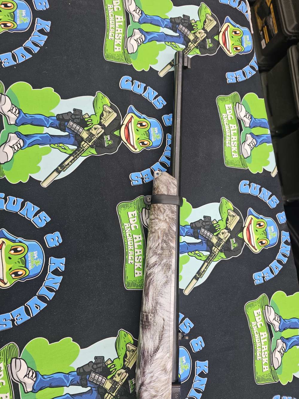 Ruger 10/22 31169 new 22lr no cc fees-img-4