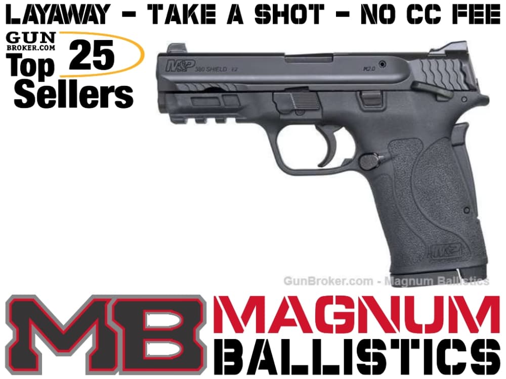 Smith & Wesson M&P380 Shield EZ 380 ACP-img-0