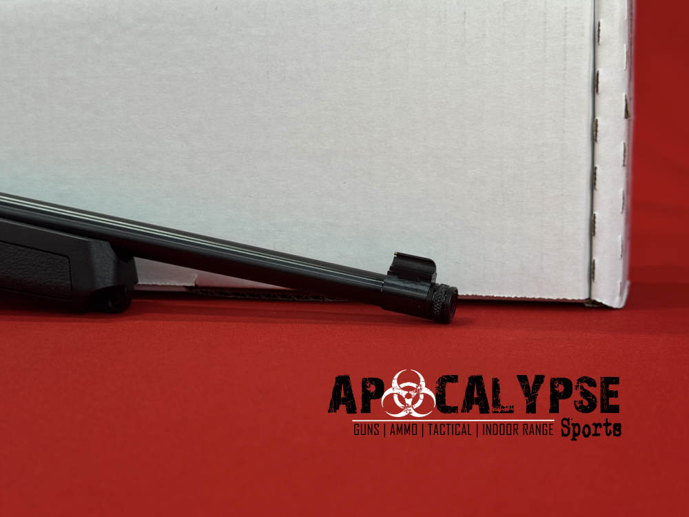 Ruger 10/22-img-8