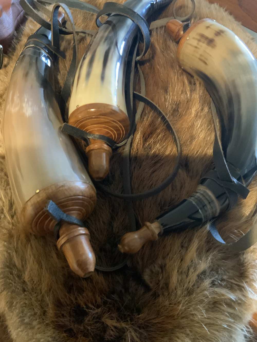 Powder horn, real horn, black powder, approximately 12” length-img-4