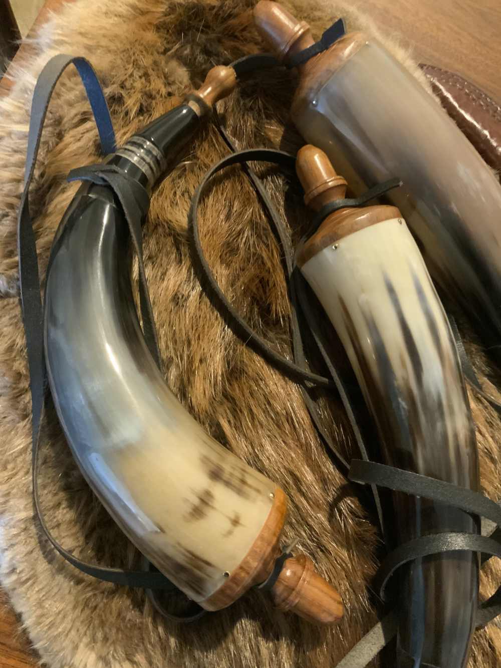 Powder horn, real horn, black powder, approximately 12” length-img-1