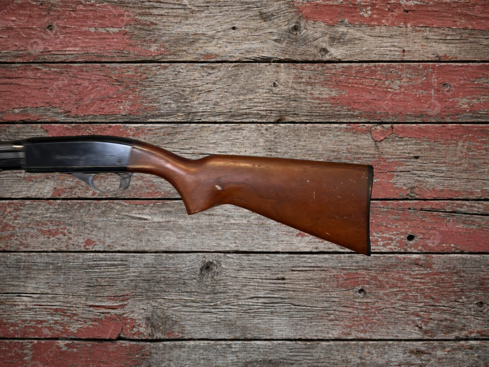 Remington 572 Fieldmaster 22 Long Rifle Standard-img-1