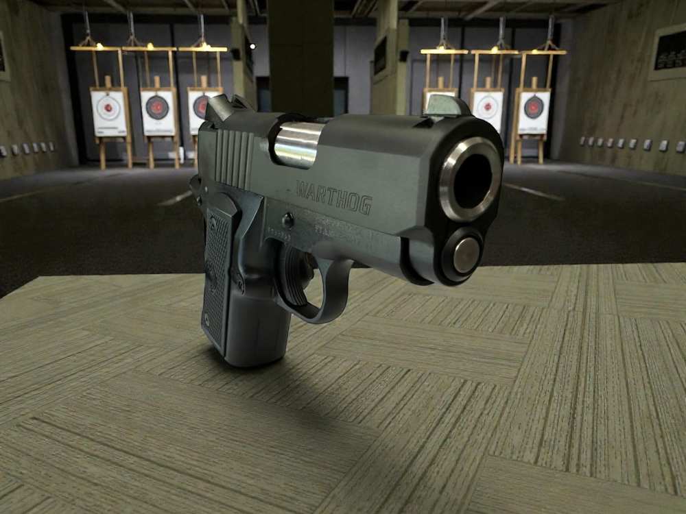 Para Warthog Black P10 45Acp New! P12 -img-11