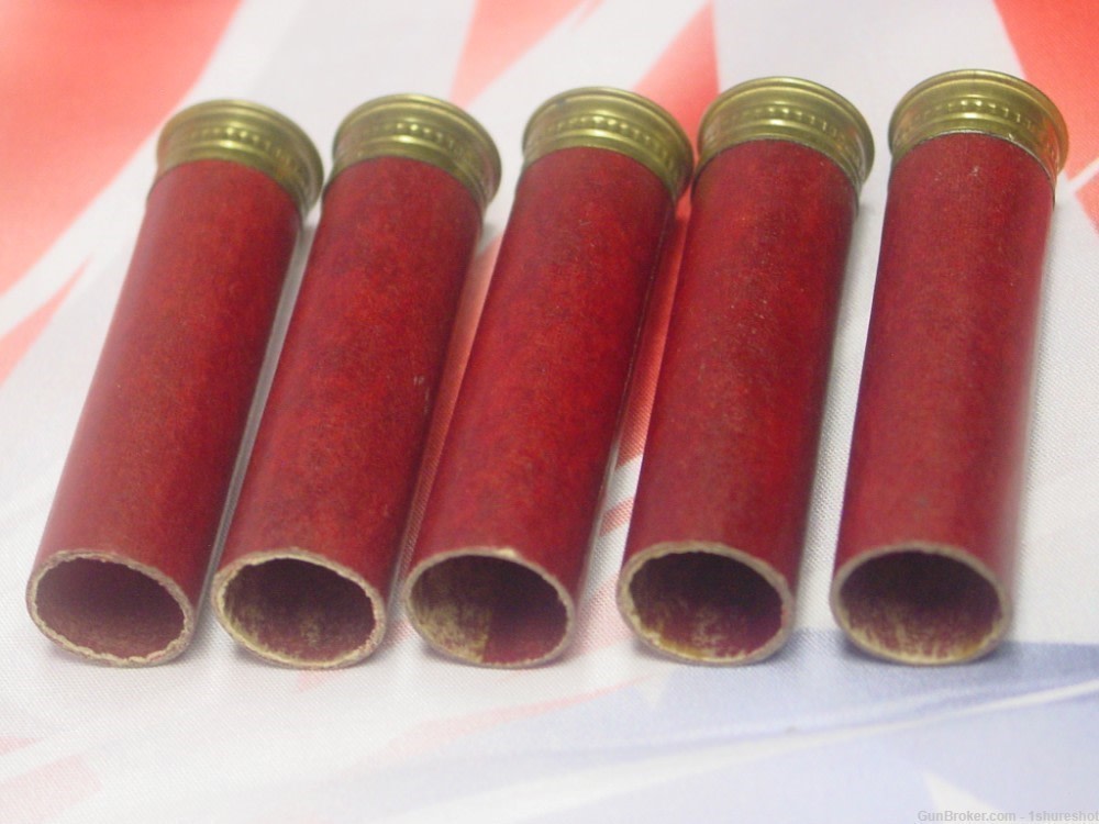 New Western Xpert Paper 20 Gauge Primed Shotgun Shell Hulls Taxidermy Mount-img-1