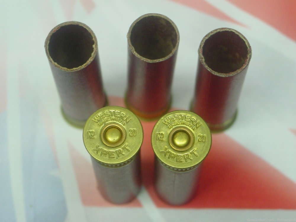 New Western Xpert Paper 20 Gauge Primed Shotgun Shell Hulls Taxidermy Mount-img-2