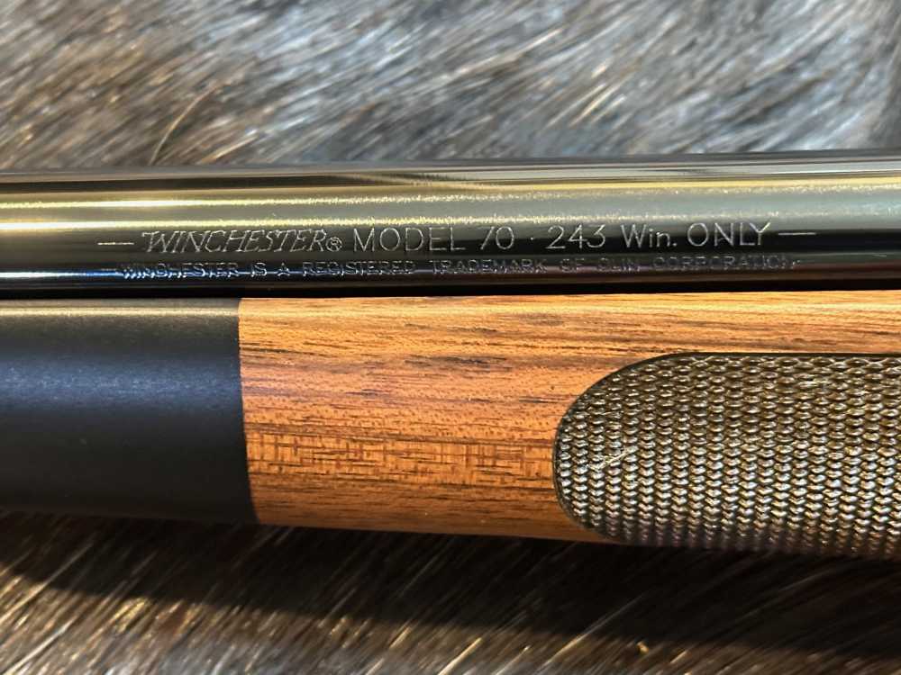 FREE SAFARI, NEW WINCHESTER MODEL 70 SUPER GRADE FRENCH WALNUT 243 WIN 22-img-13