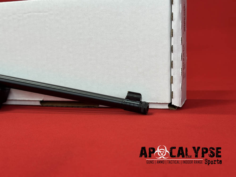 Ruger 10/22 -img-8