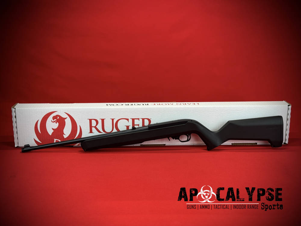 Ruger 10/22 -img-2